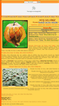 Mobile Screenshot of physalis.tropikalmeyveler.com